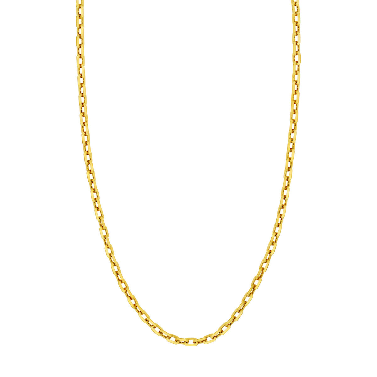 Octagon Long Link Fancy Chain 14K Gold