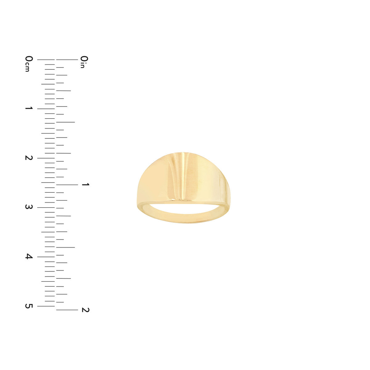 Graduated Signet Ring 14K Yellow Gold