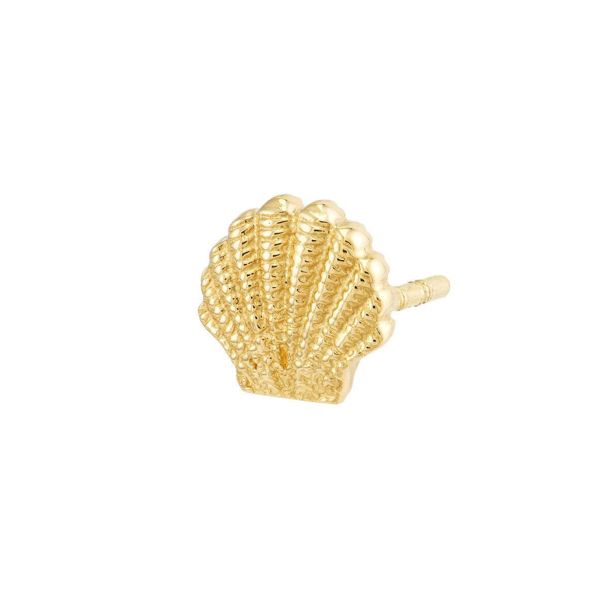 Mini Seashell Stud Earrings 14K Yellow Gold