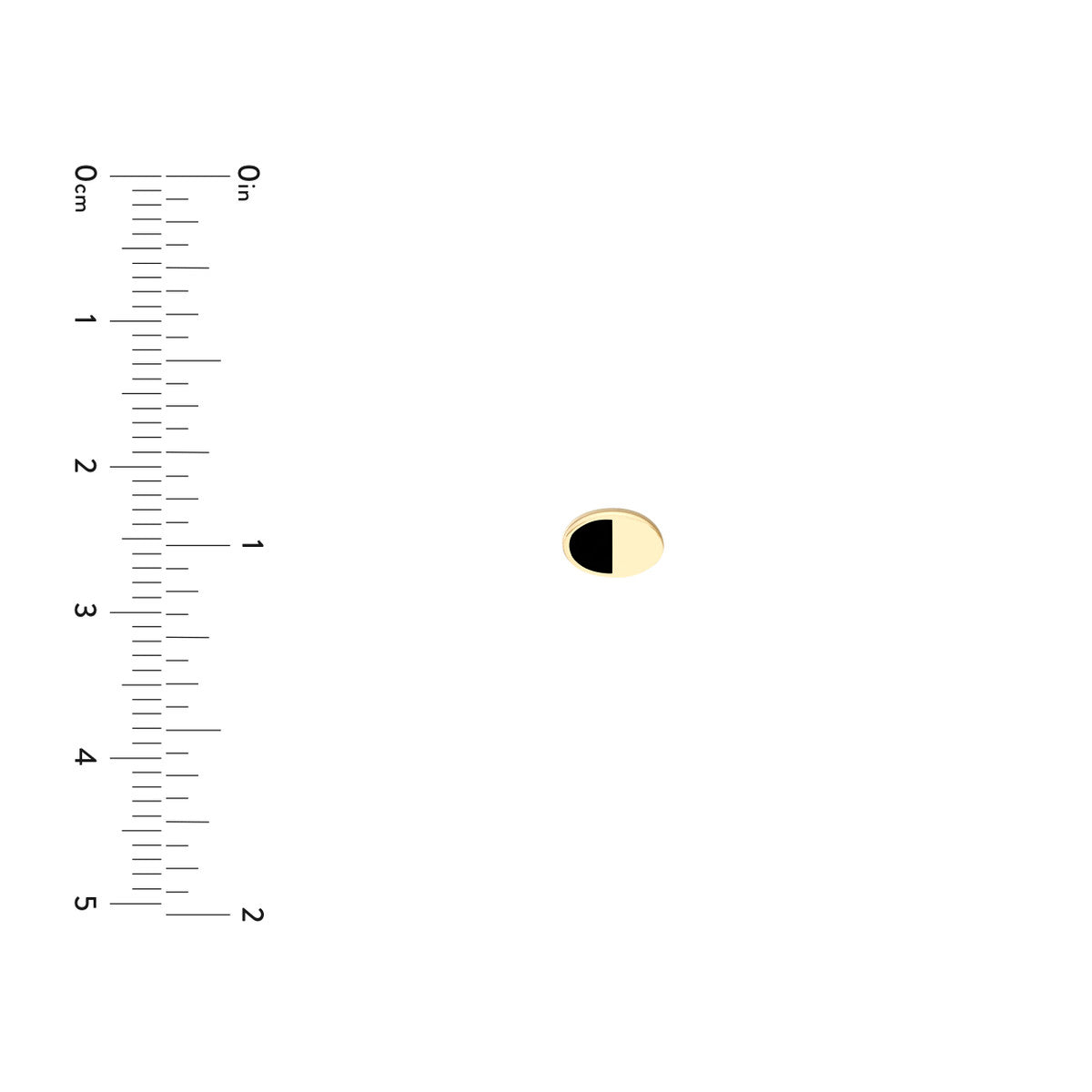 50/50 High Polished Stud Earrings 14K Yellow Gold