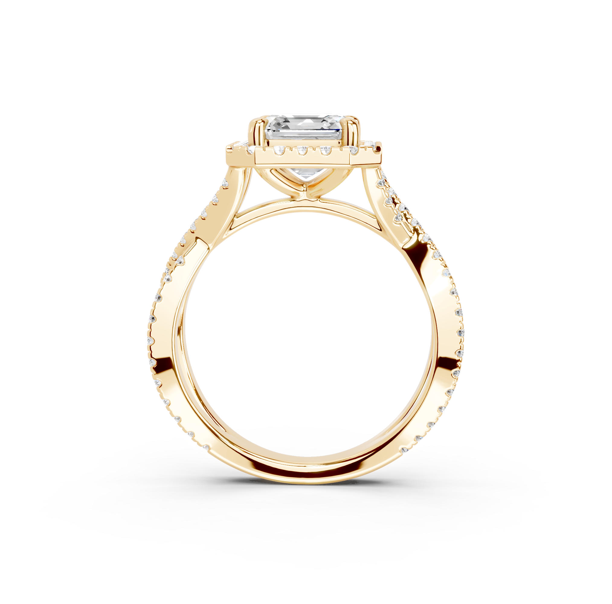 The Adriana